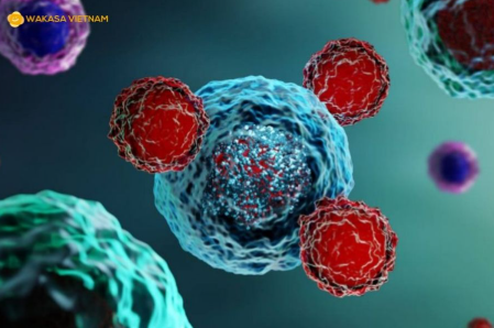 Dịch Vụ Y Tế Cao Cấp